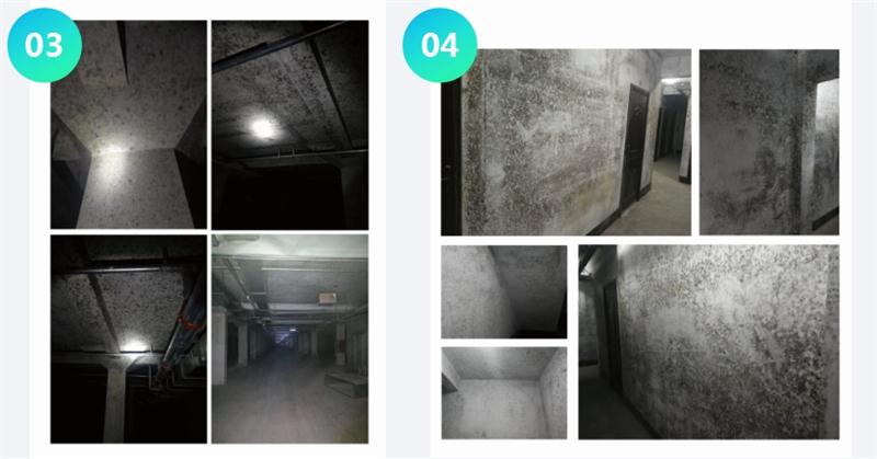 霉菌的溫床：地下車庫或儲藏室潮濕、滲漏...(圖2)