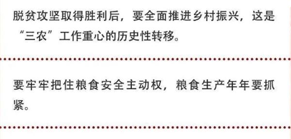 2020年中央農(nóng)村工作會議精神速覽！(圖2)